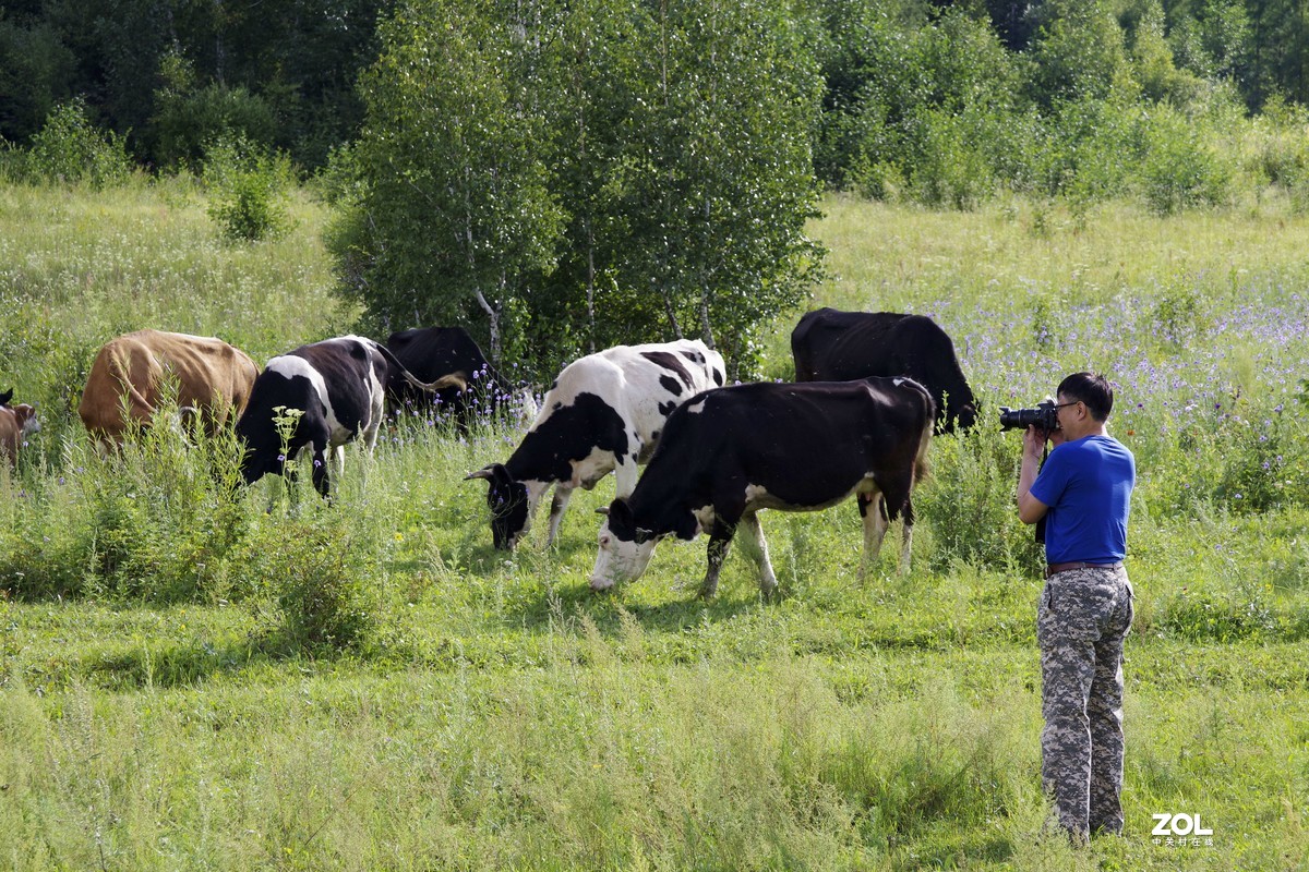 呼伦贝尔草原随拍【5】临江沿途