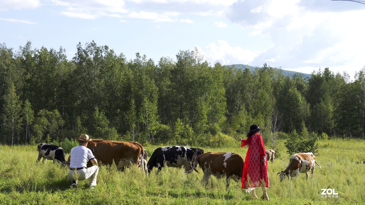 呼伦贝尔草原随拍【5】临江沿途