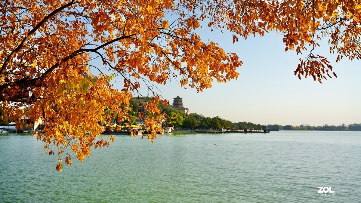 颐和秋色