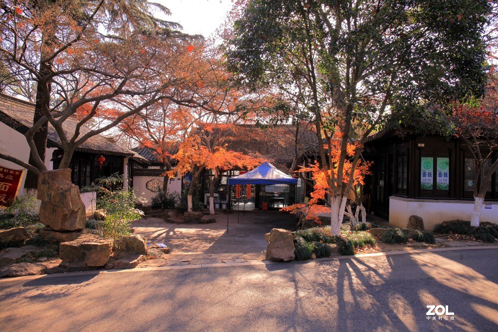 苏州常熟虞山公园的秋色