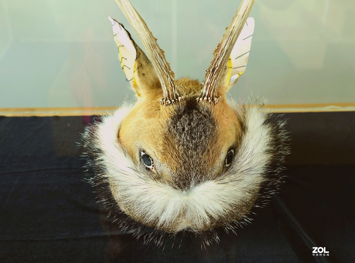 鄂伦春【猎民村生态园游记】