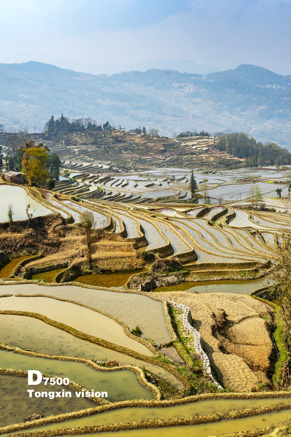 哈尼梯田38