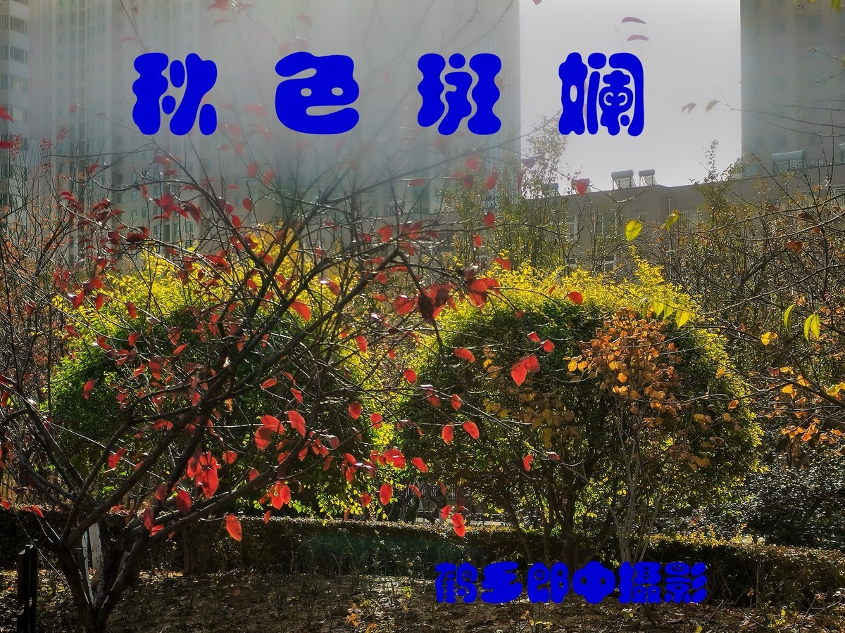秋色斑斓（二）