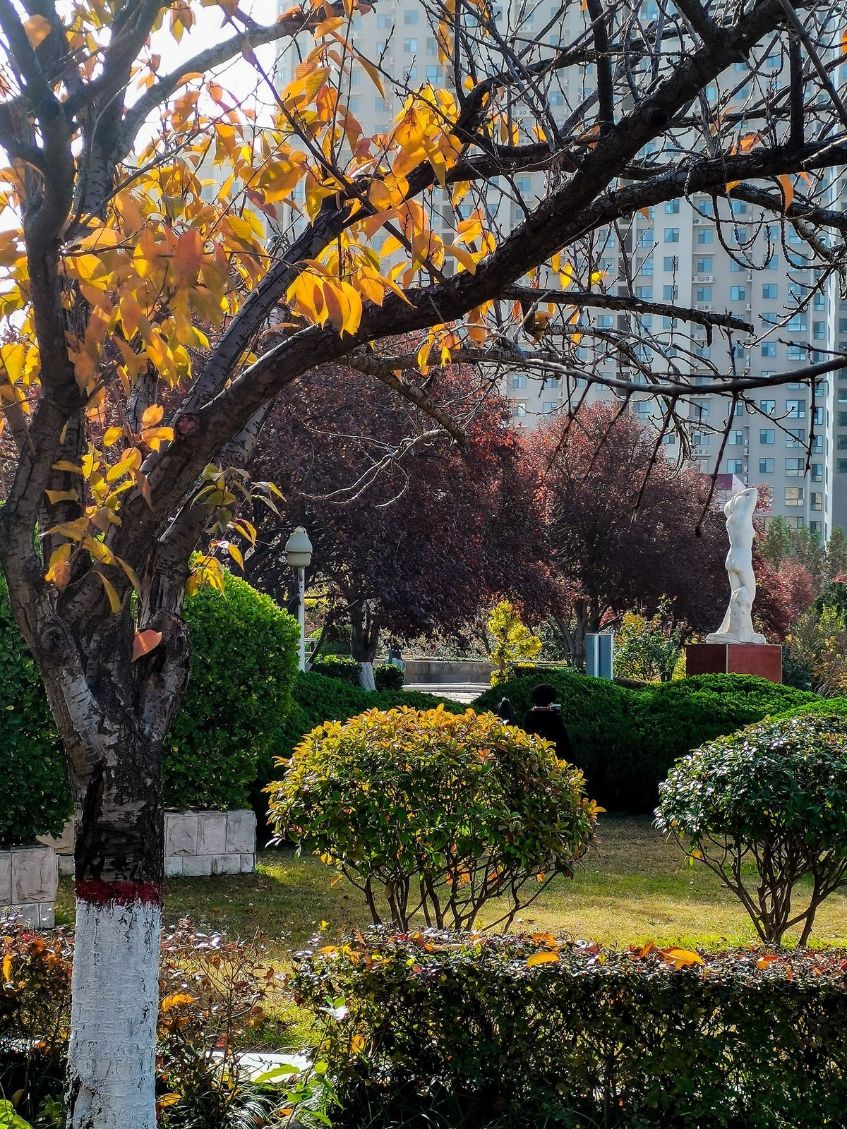 秋色斑斓（二）