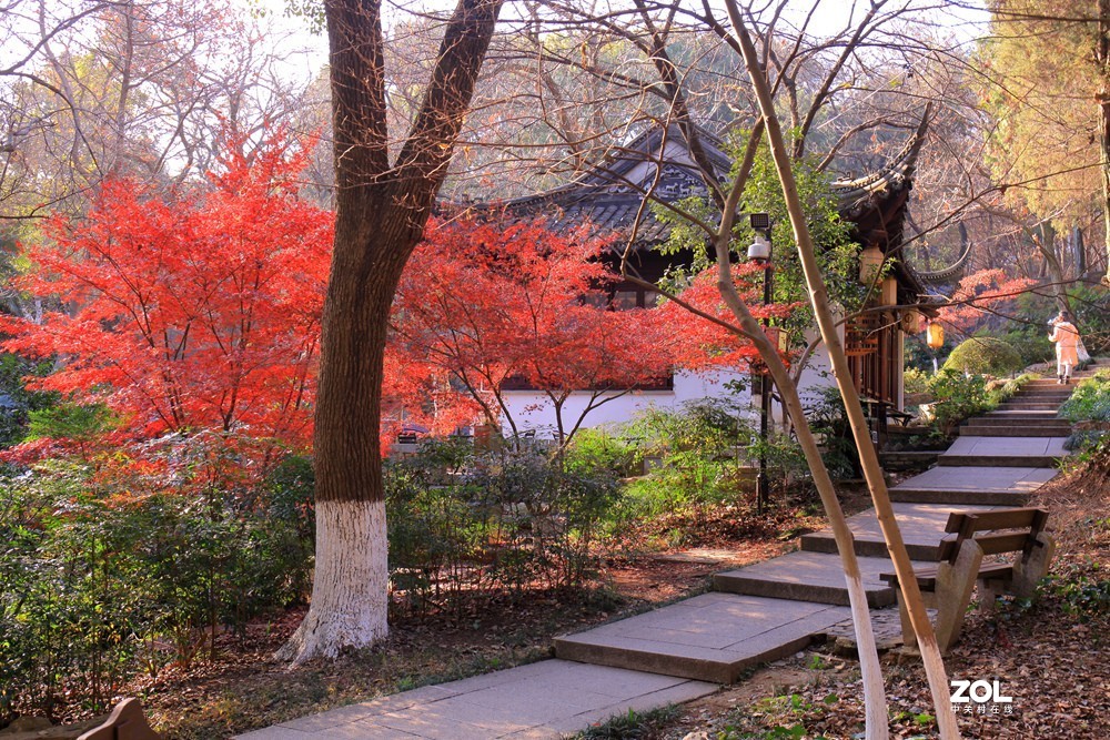 苏州常熟虞山公园的秋色