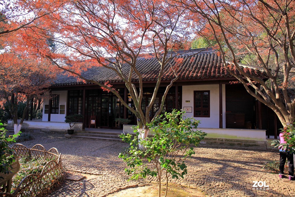 苏州常熟虞山公园的秋色