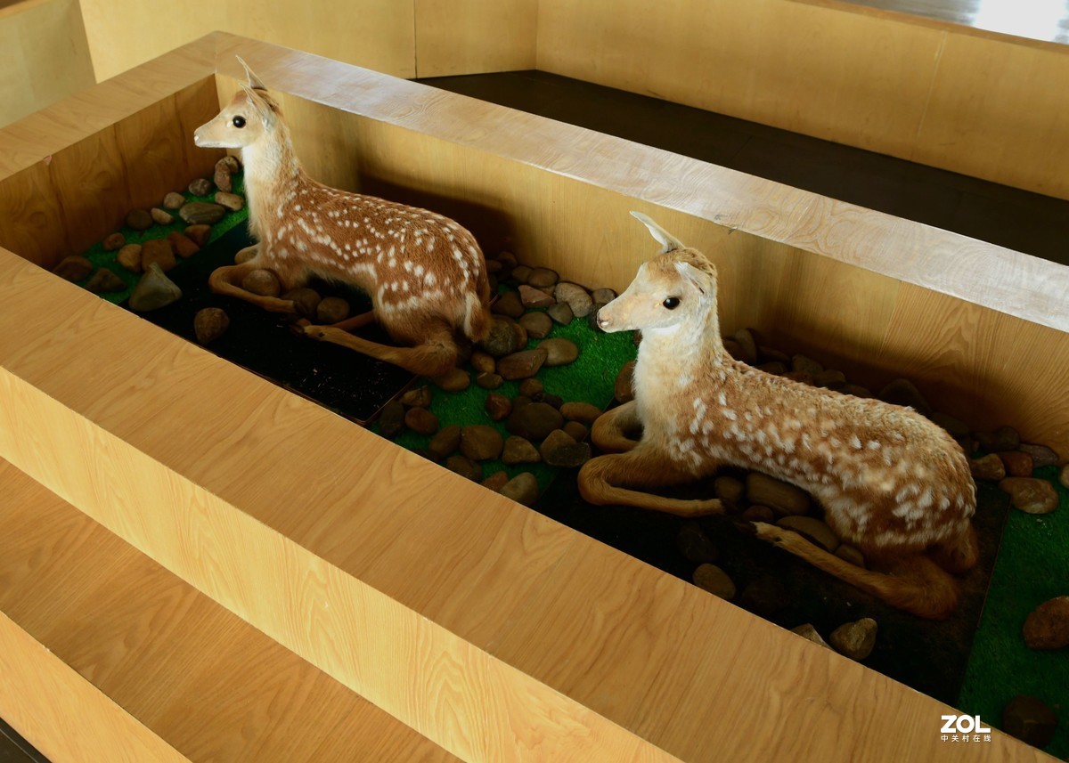 鄂伦春【猎民村生态园游记】