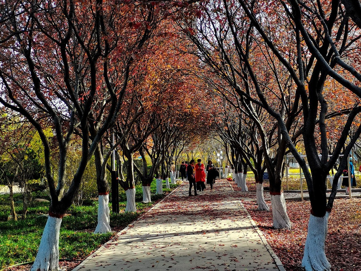 秋色斑斓（二）