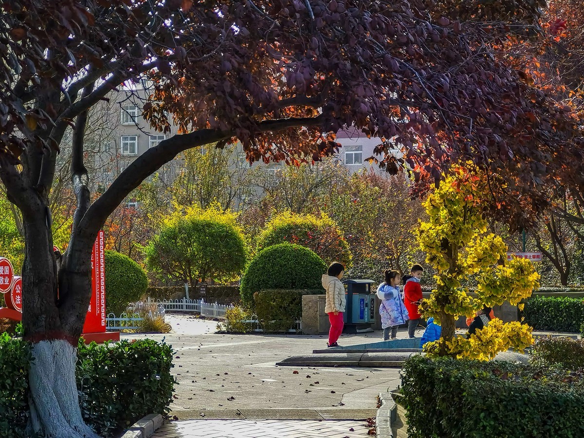 秋色斑斓（二）