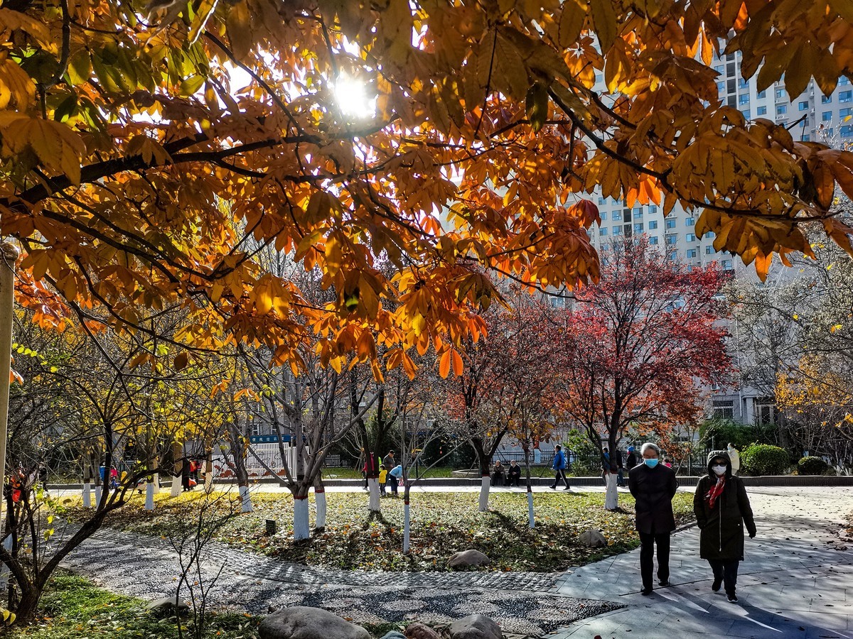 秋色斑斓（二）