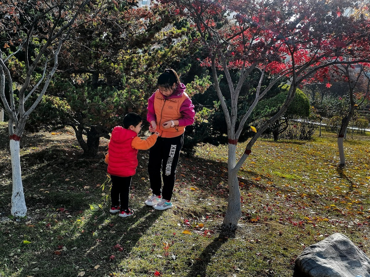 秋色斑斓（二）