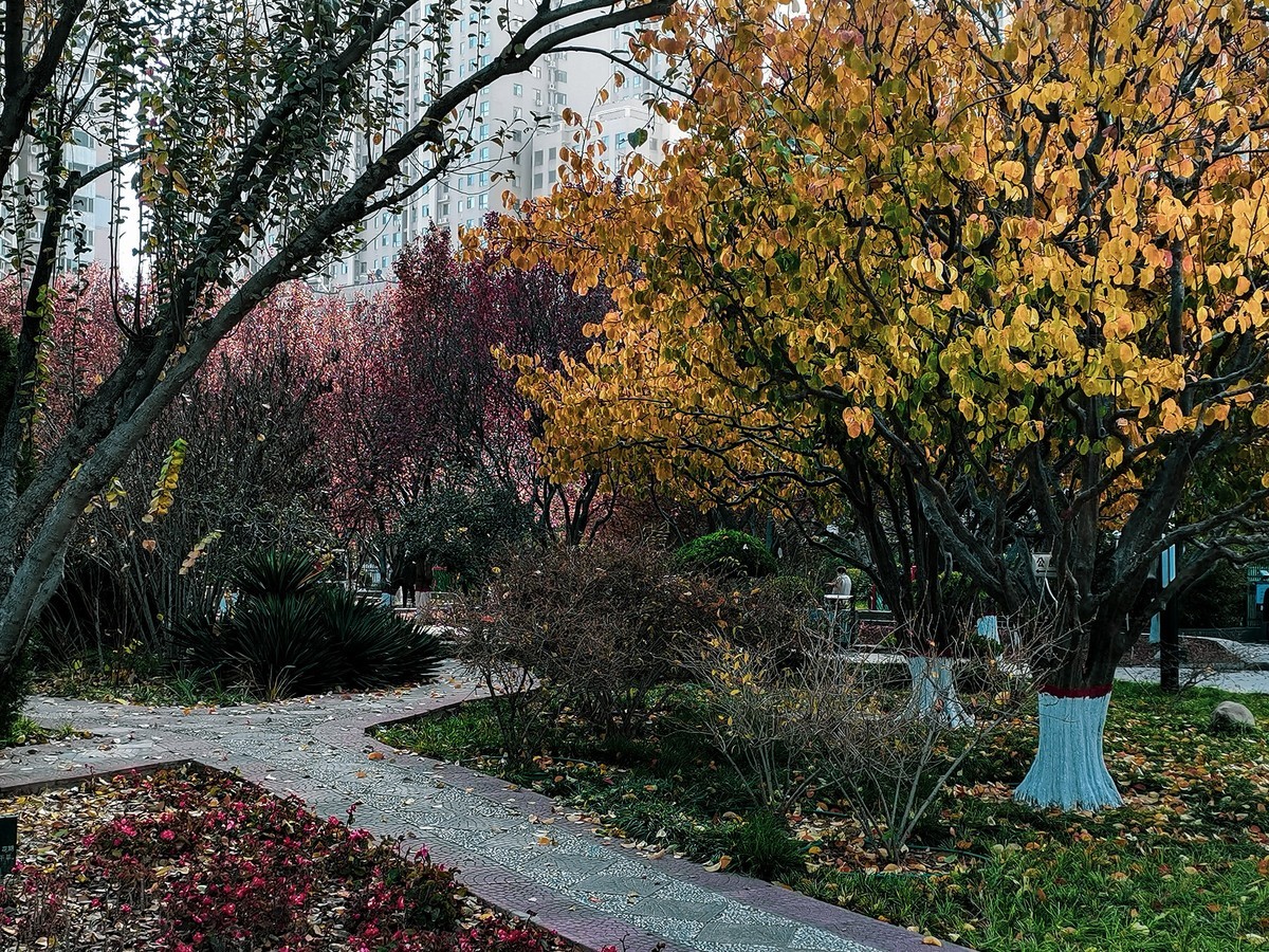 秋色斑斓（二）