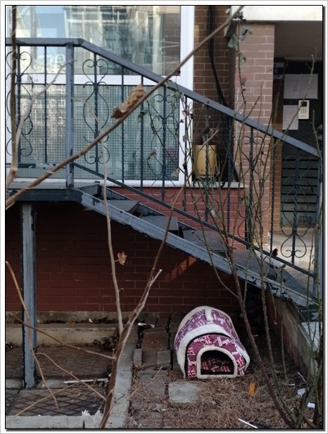 城市的街拍。。。（续）