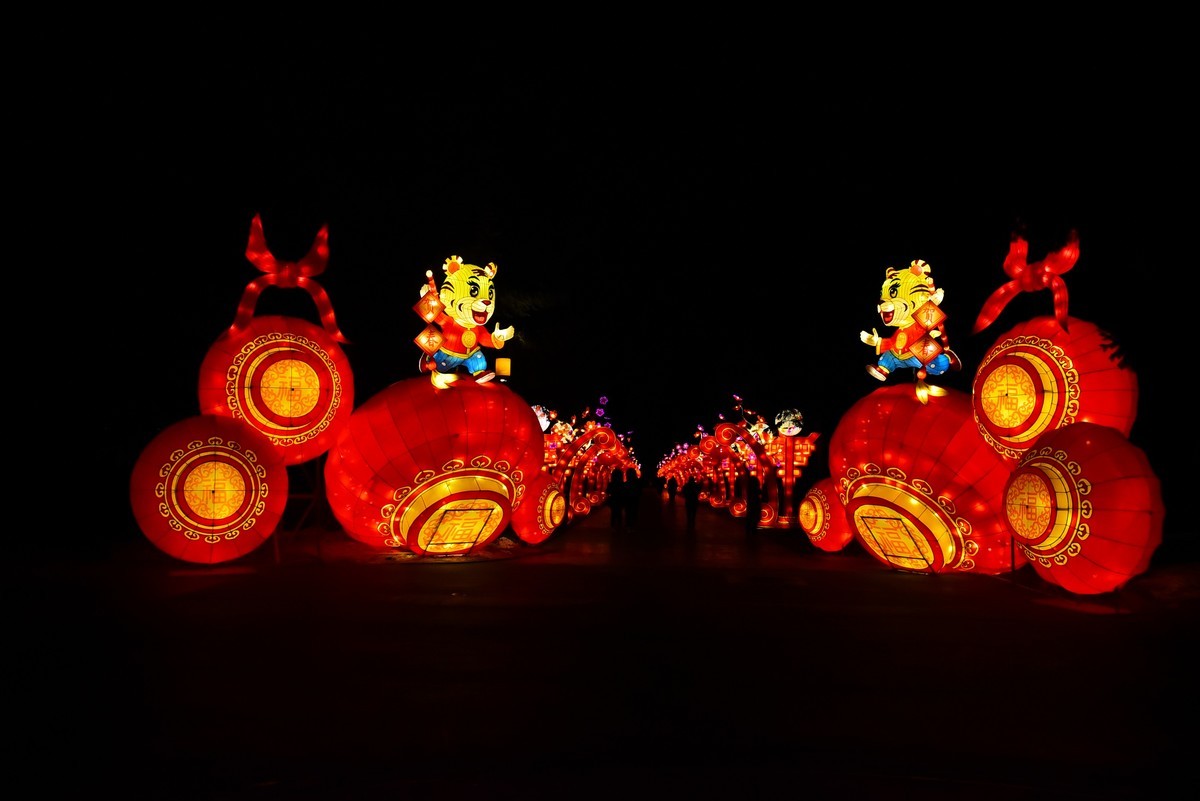 中国元素----为庆贺新年和圣诞节的环湖灯景  1