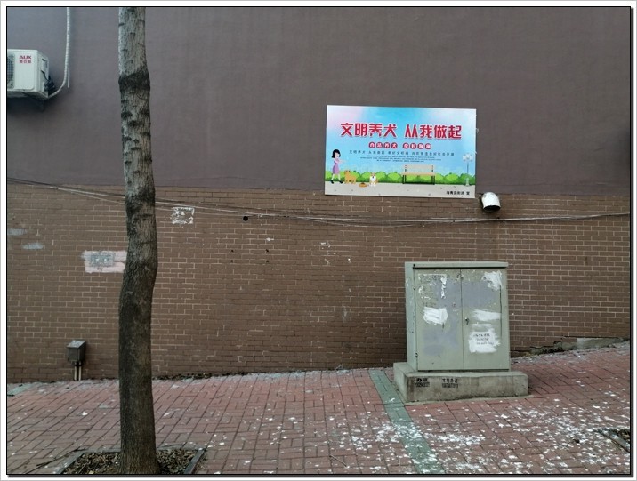 城市的街拍。。。（续）