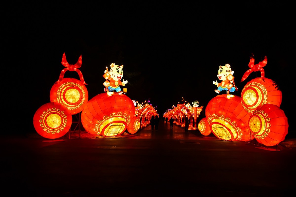 中国元素----为庆贺新年和圣诞节的环湖灯景  1