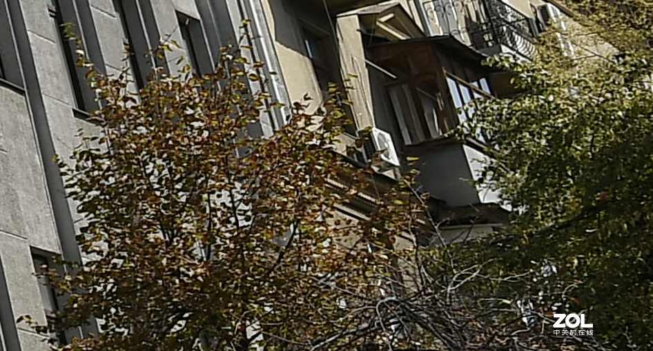 以下犯上（十二）2020手机与相机的对比-白天