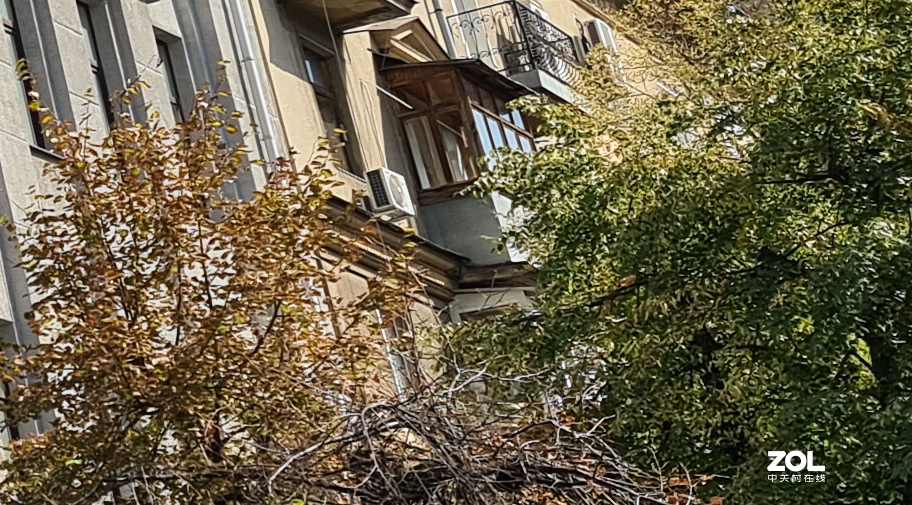 以下犯上（十二）2020手机与相机的对比-白天