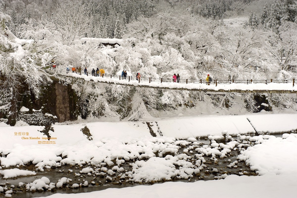 日本 ---  合掌村