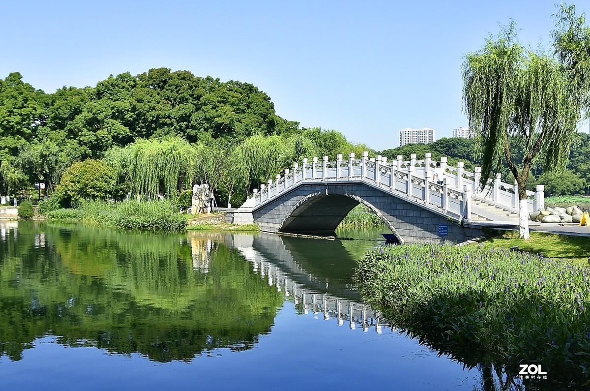 东湖听涛声的地方