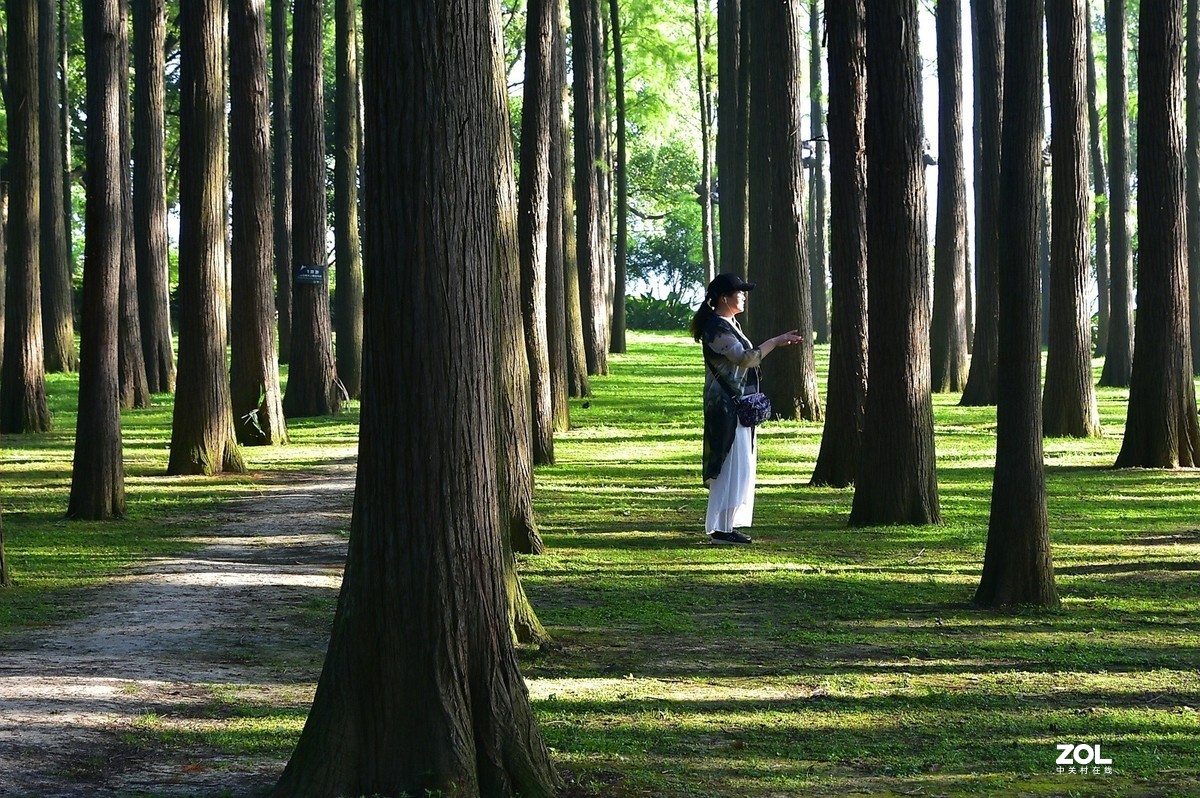 东湖听涛声的地方