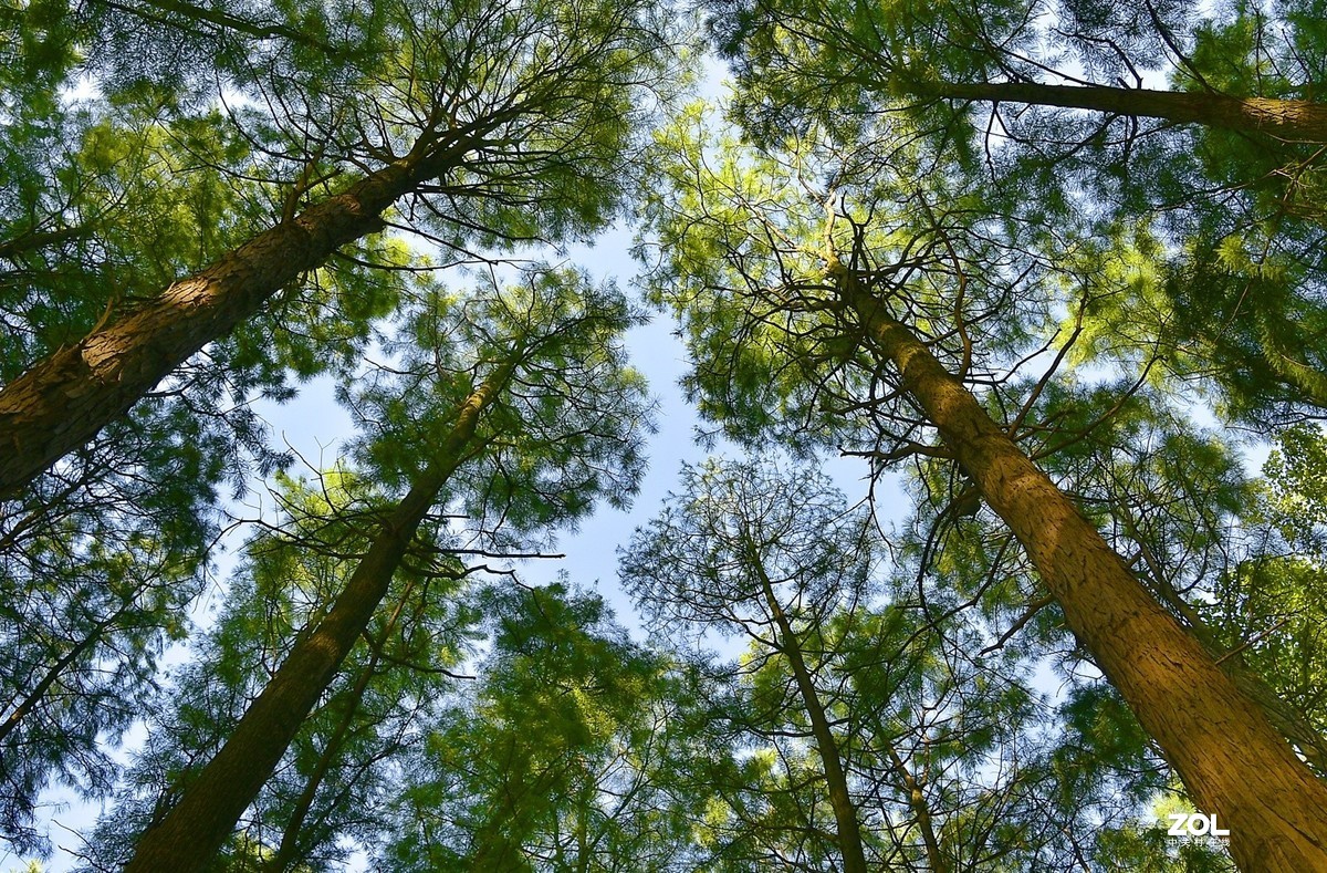 东湖听涛声的地方