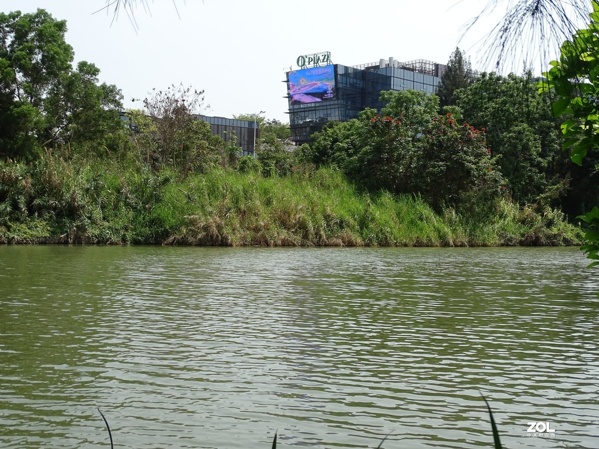 华侨城湿地公园