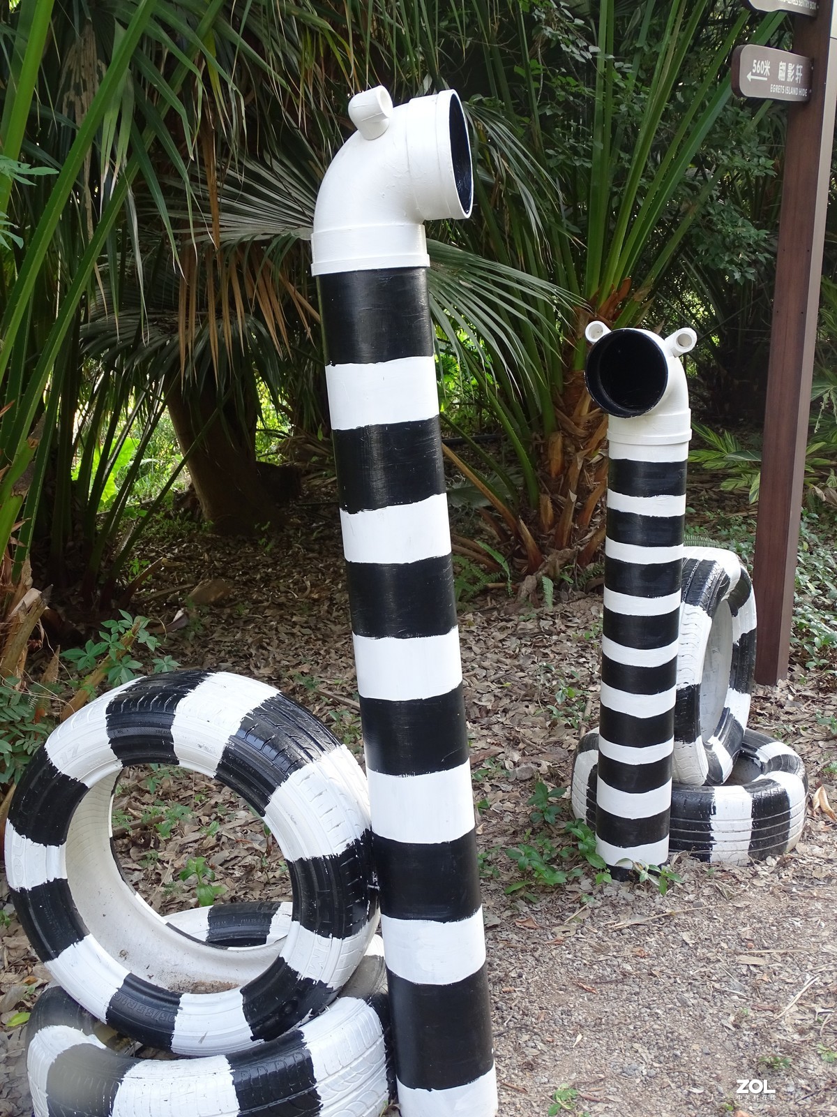 华侨城湿地公园