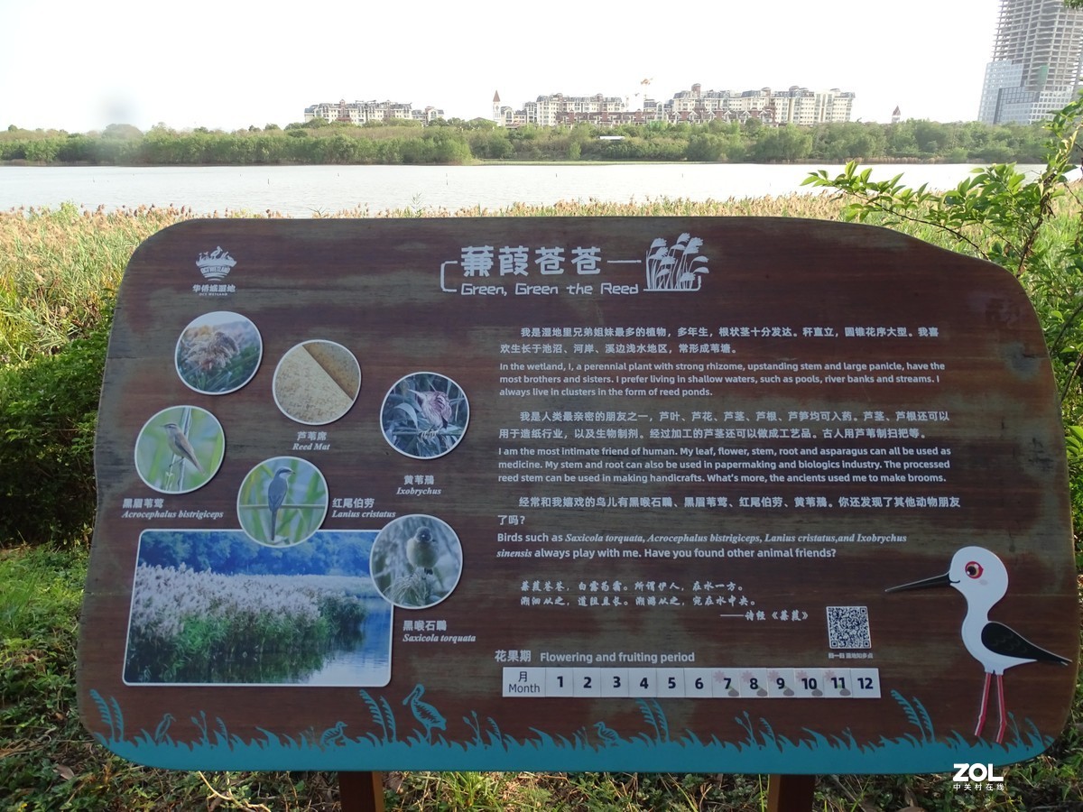 华侨城湿地公园