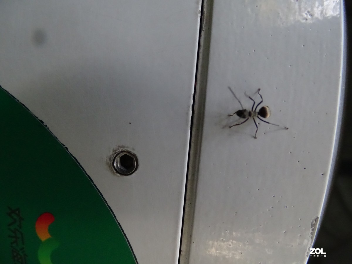 华侨城湿地公园