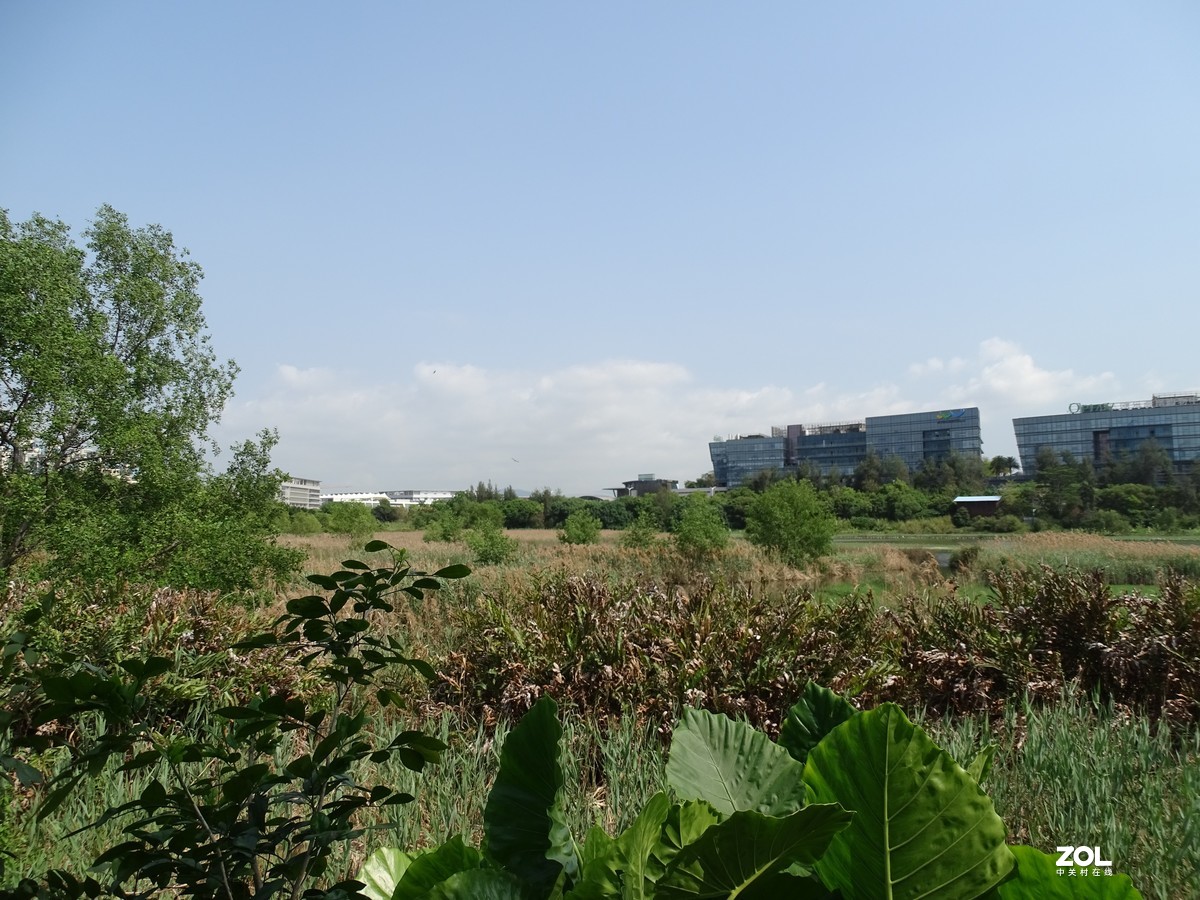 华侨城湿地公园