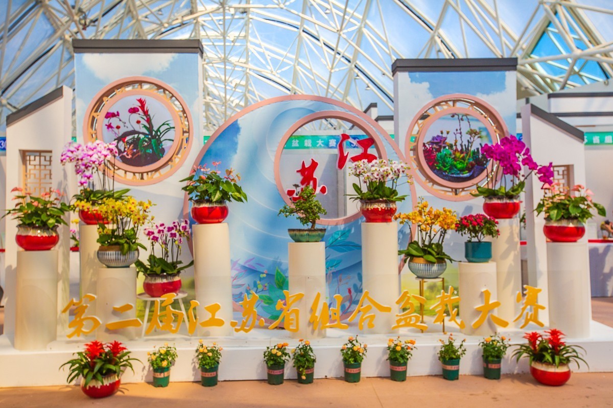 2021-10-23江苏省第二届组合盆栽大赛（二）