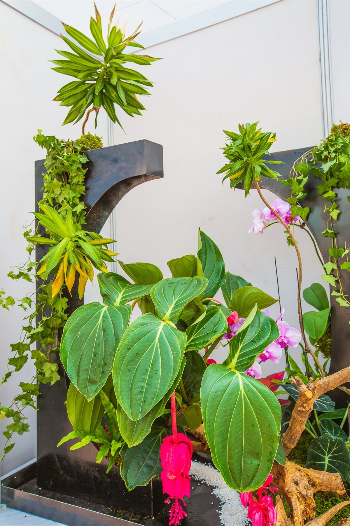 2021-10-23江苏省第二届组合盆栽大赛（二）