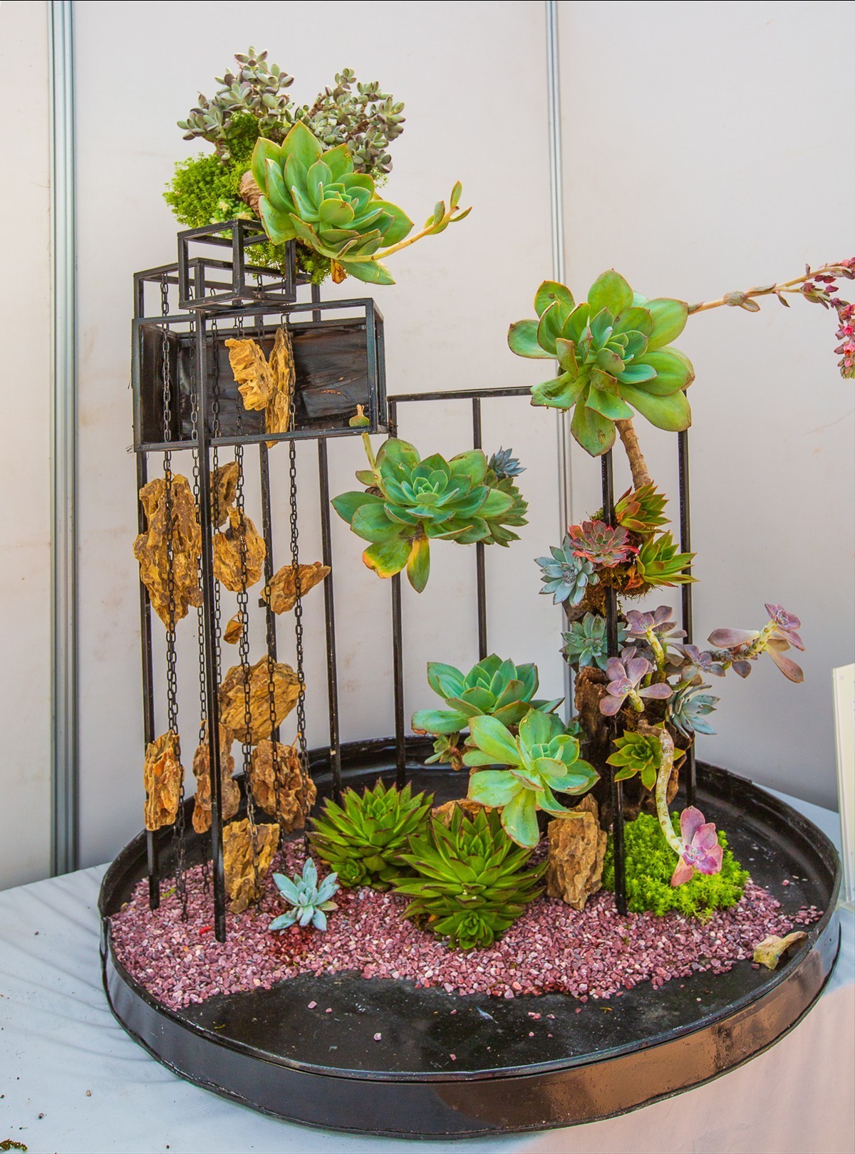 2021-10-23江苏省第二届组合盆栽大赛（二）