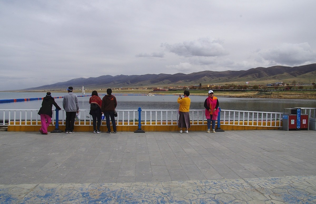 留恋青海湖--12P