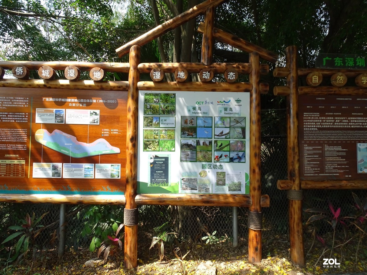 华侨城湿地公园