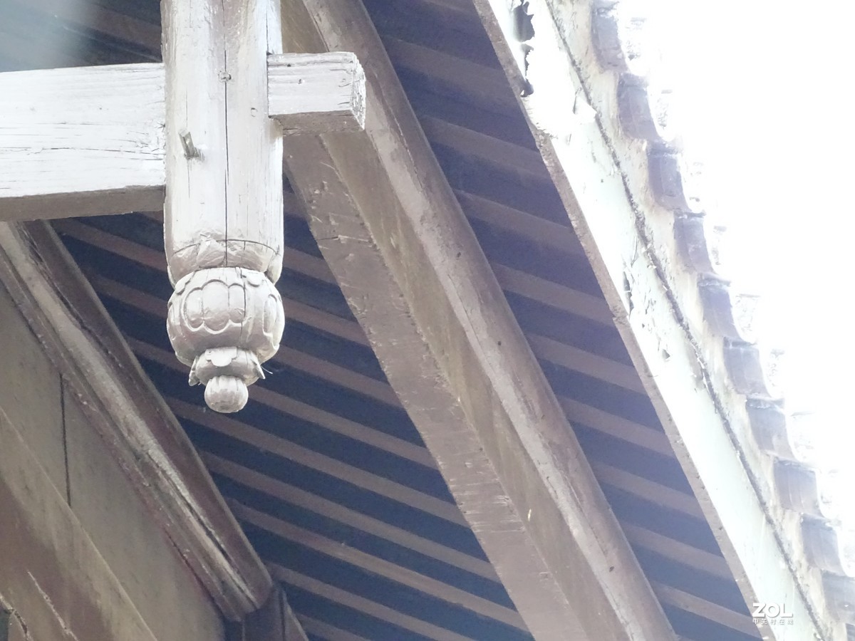 华侨城湿地公园