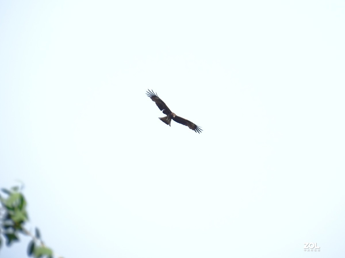 华侨城湿地公园