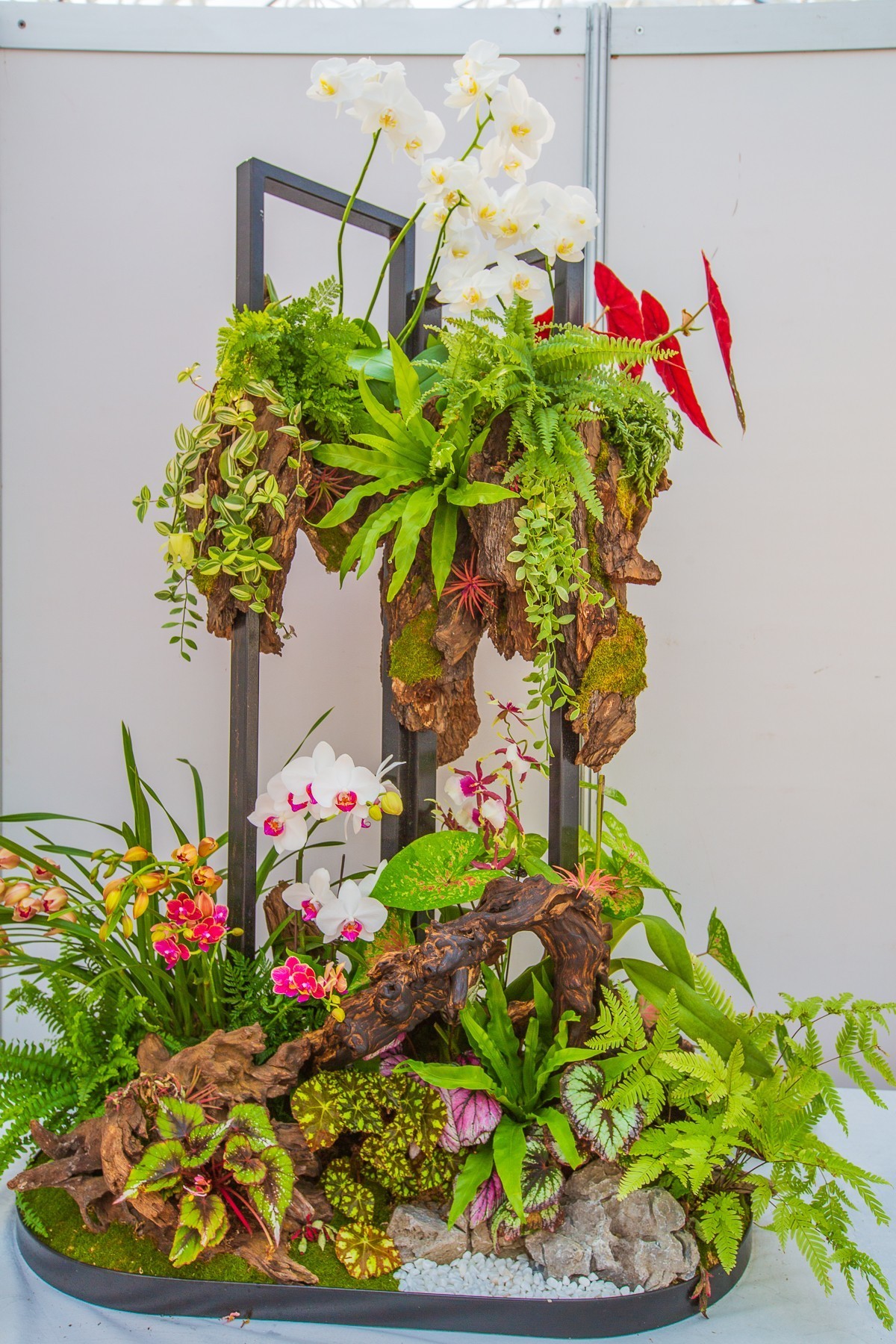 2021-10-23江苏省第二届组合盆栽大赛（二）