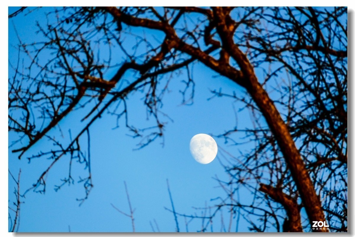 FZ1000携冬景拜望GF3师友--祝2021顺利安好!!!