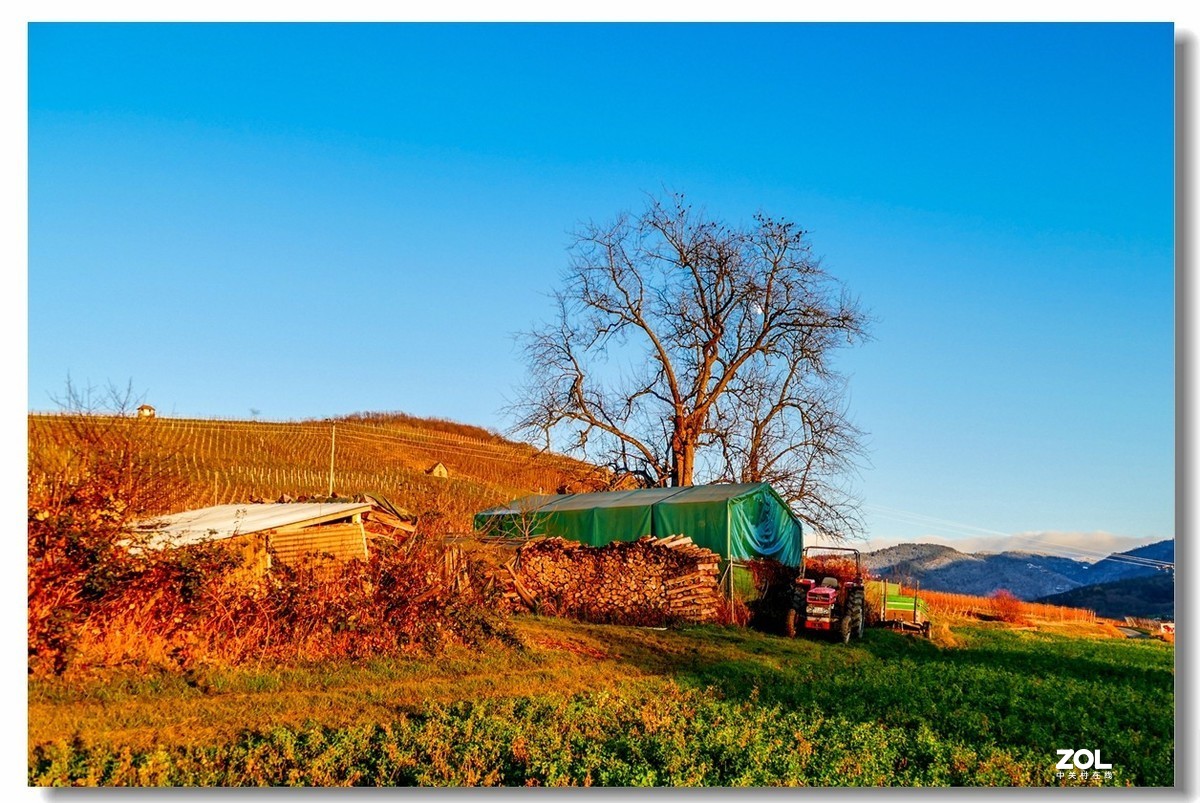 FZ1000携冬景拜望GF3师友--祝2021顺利安好!!!