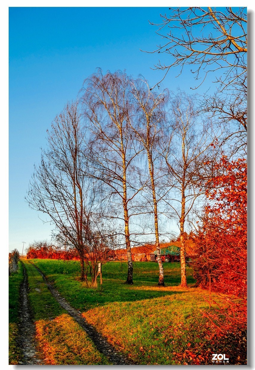 FZ1000携冬景拜望GF3师友--祝2021顺利安好!!!