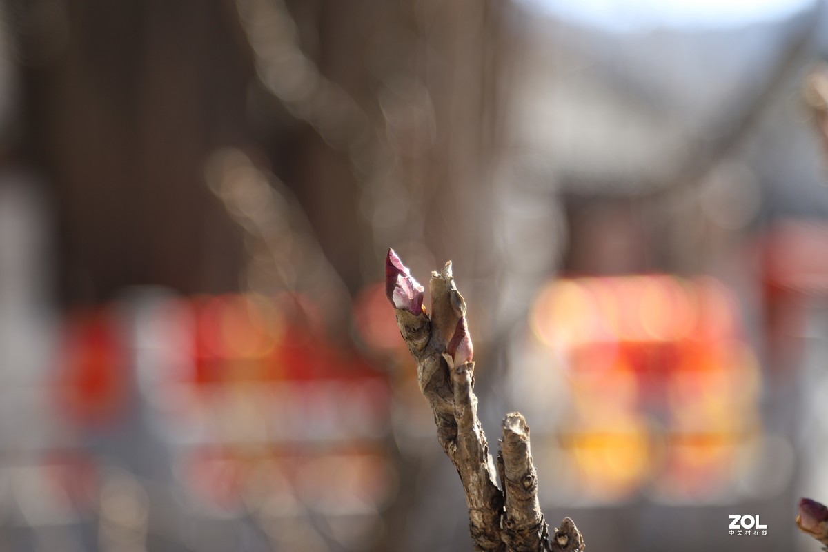 冬日里的潭柘寺