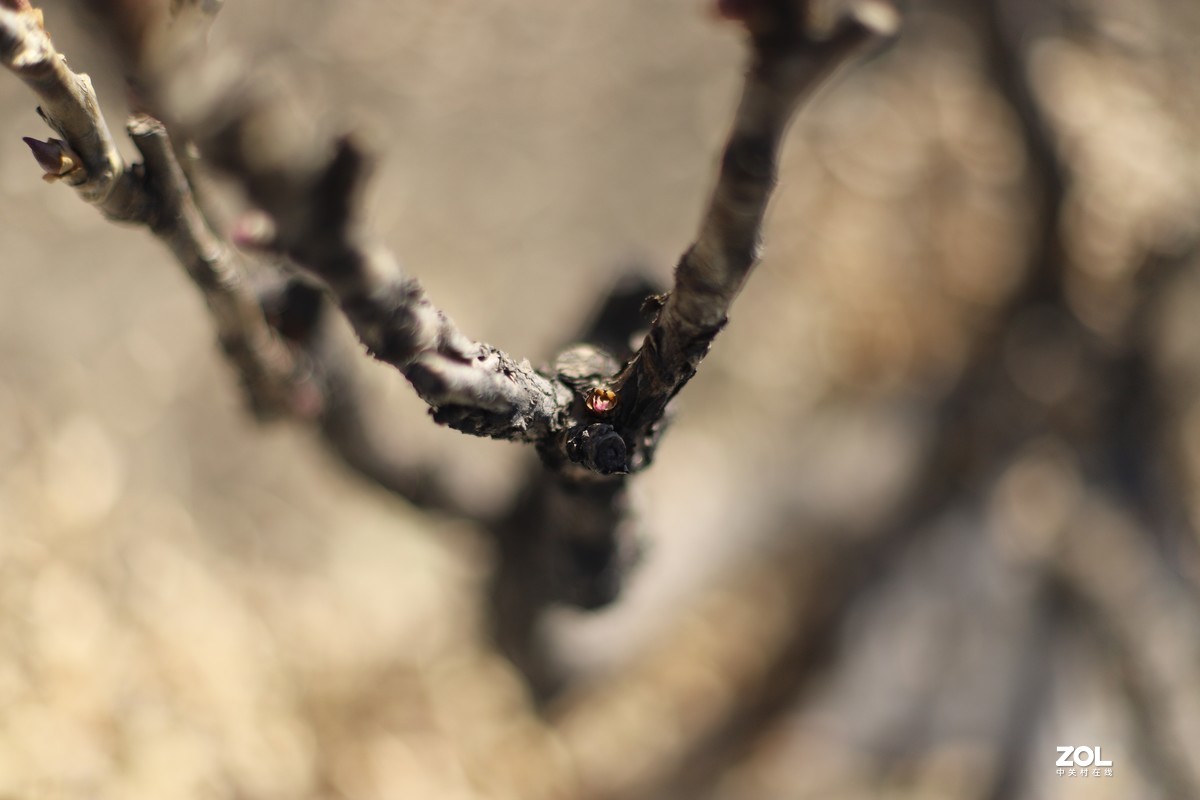 冬日里的潭柘寺