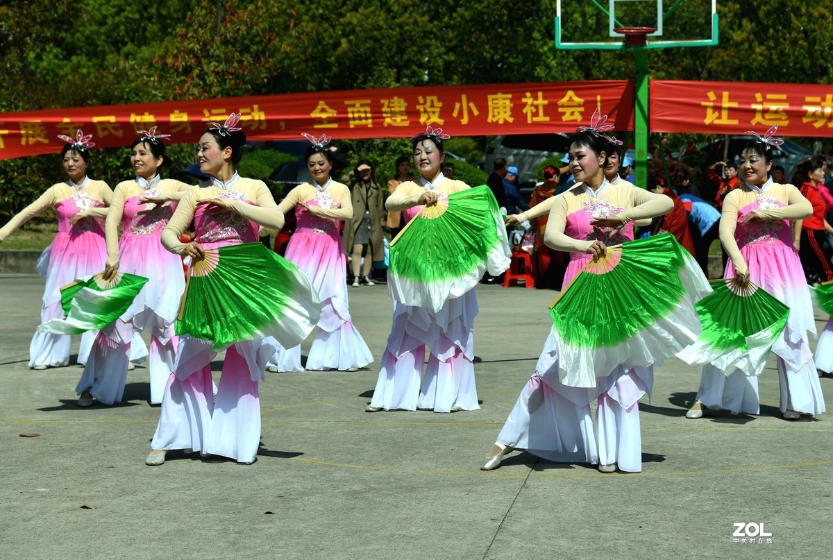 扇  舞 [荣获一等奖]