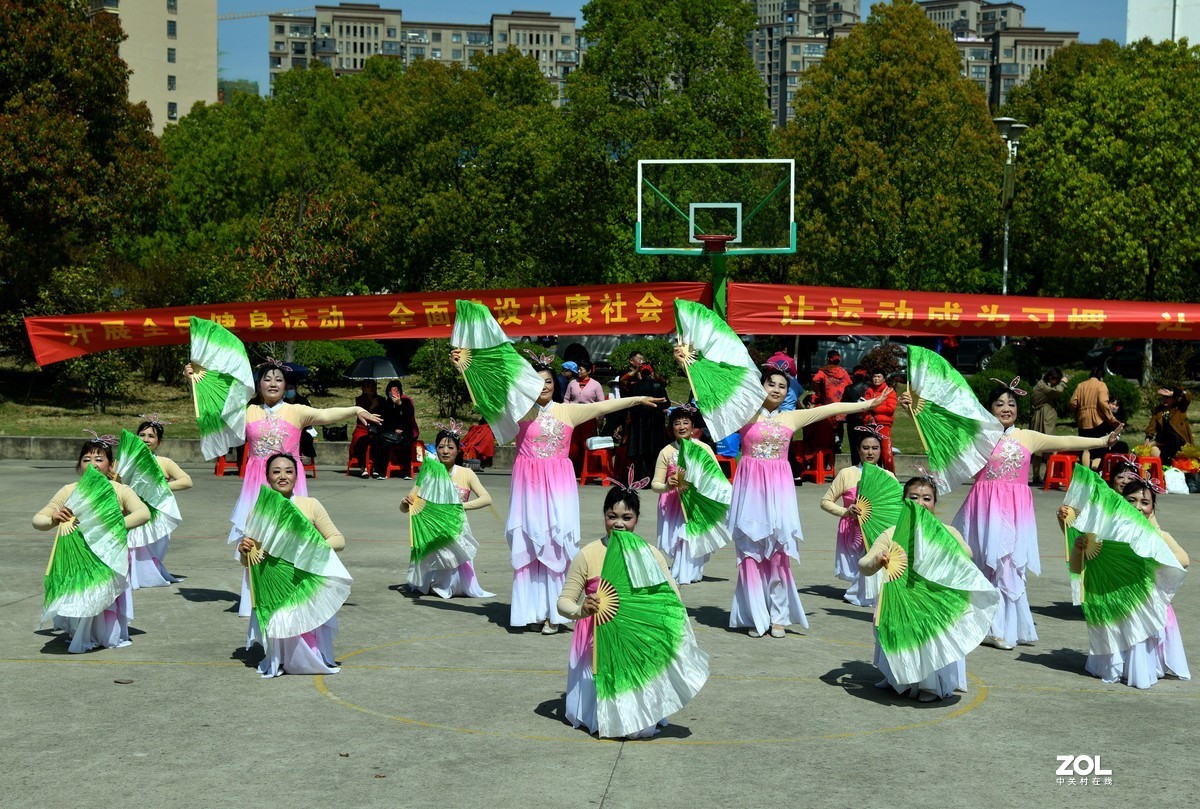 扇  舞 [荣获一等奖]