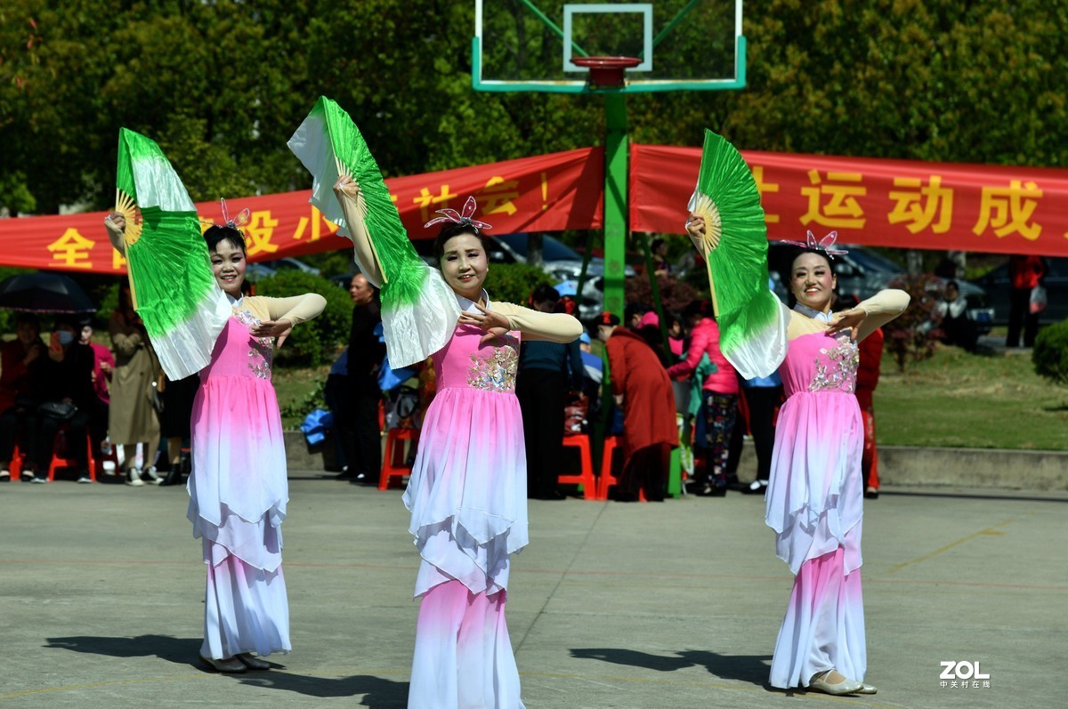 扇  舞 [荣获一等奖]