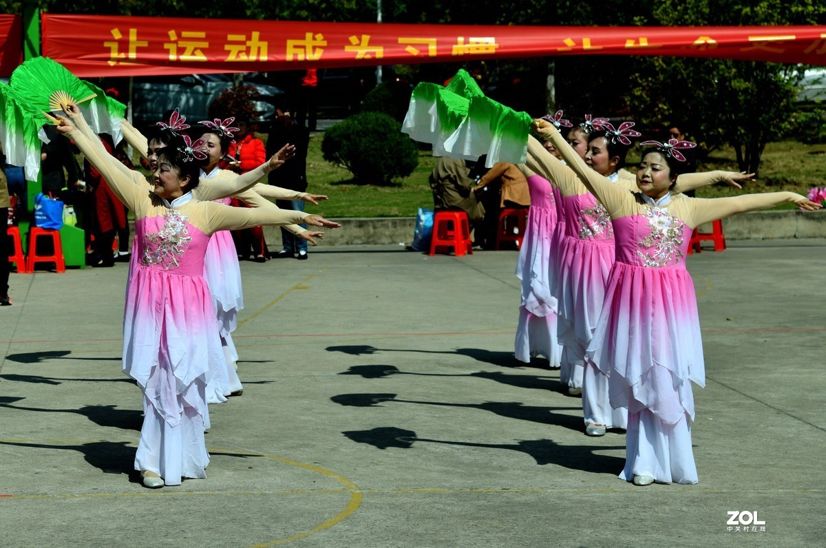 扇  舞 [荣获一等奖]