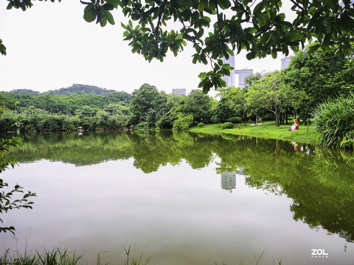 深圳蓮花山公園掠影