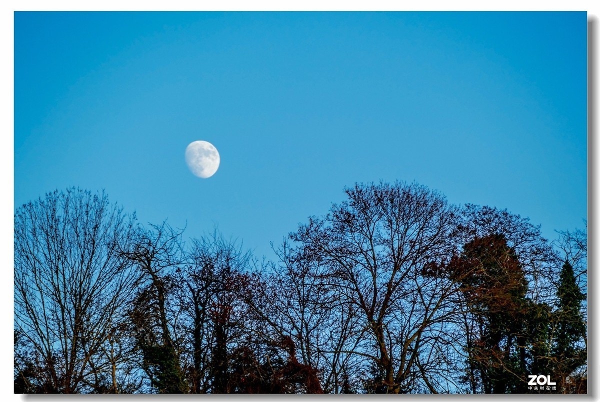 FZ1000携冬景拜望GF3师友--祝2021顺利安好!!!